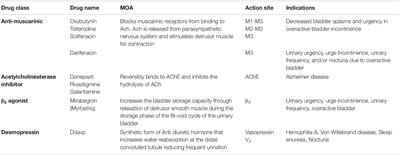 Urinary Incontinence and Alzheimer’s Disease: Insights From Patients and Preclinical Models